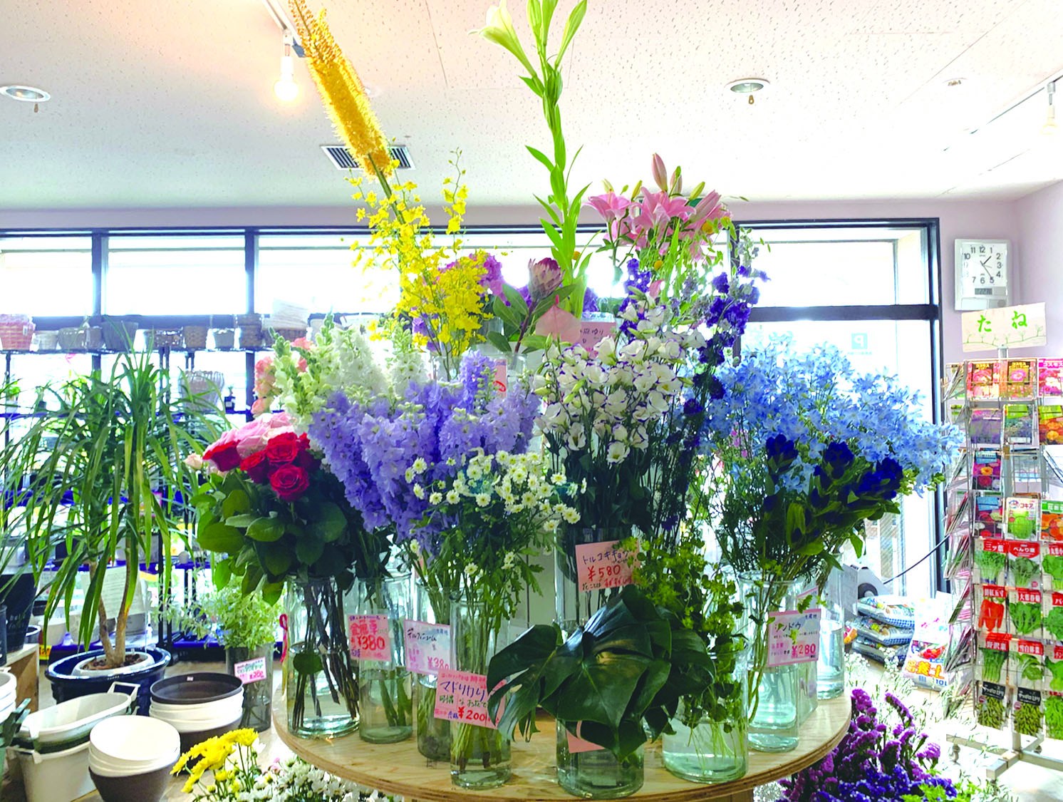 店内に並ぶ季節の花と植物