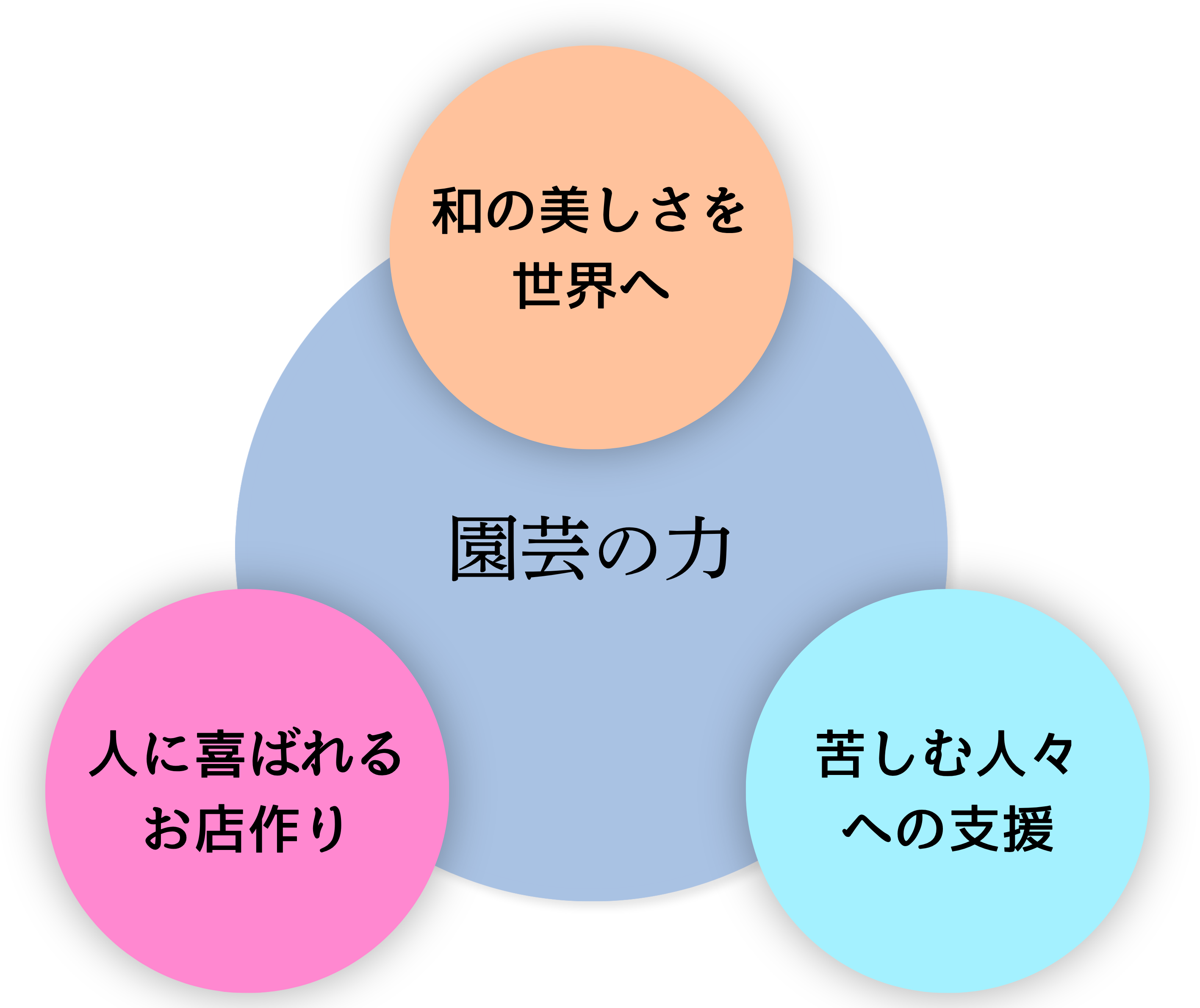 和の美しさを世界へ